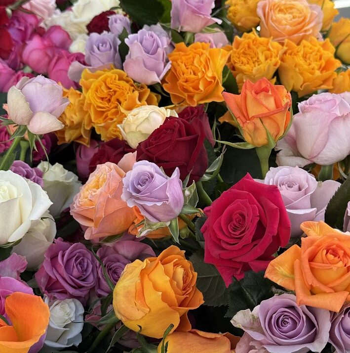 第10回 Poppin Rose Market – MDC | 前橋デザインコミッション | We